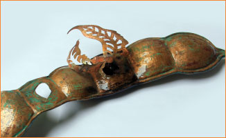 Copper Bean 1